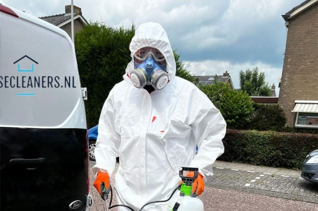 schimmelreinigingsservice